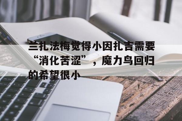 兰扎法梅觉得小因扎吉需要“消化苦涩”，魔力鸟回归的希望很小